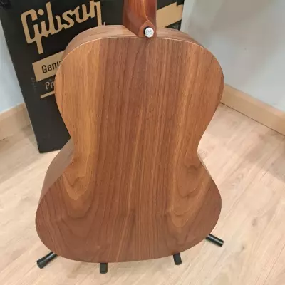 Store Special Product - Gibson G00